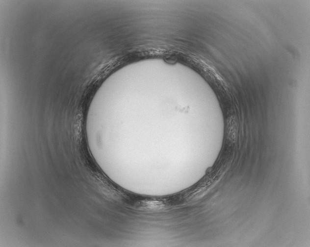 X0000115650509200912011525