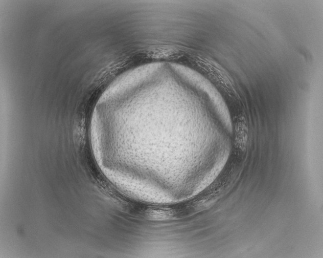 X0000115650510200912011525