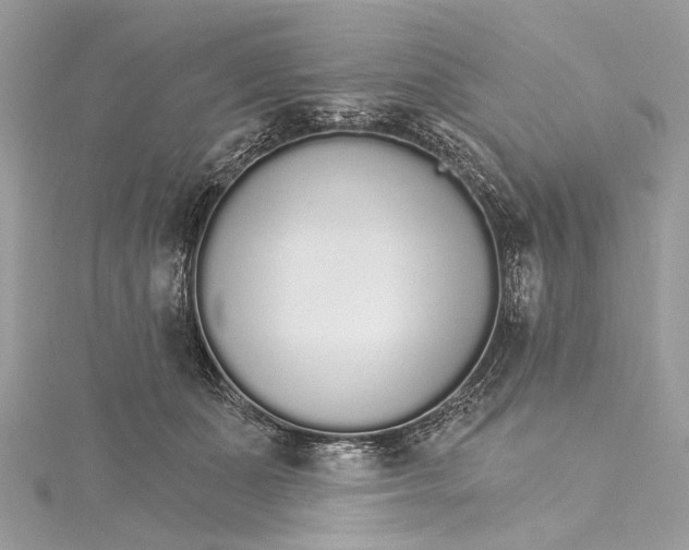 X0000115650511200912011525