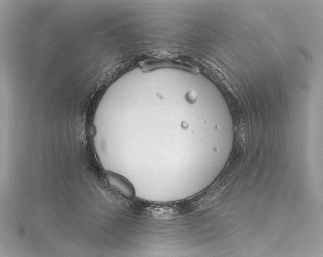 X0000115650512200912011525