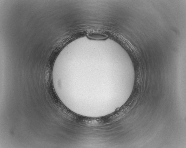 X0000115650513200912011525