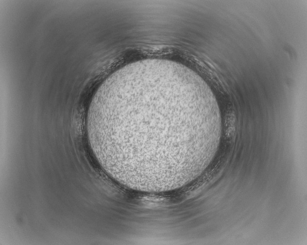 X0000115650515200912011525