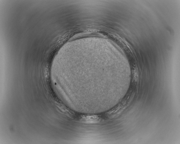 X0000115650517200912011525