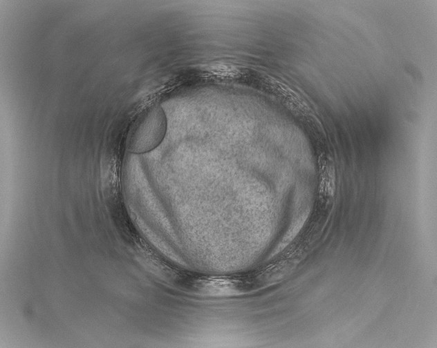 X0000115650518200912011525