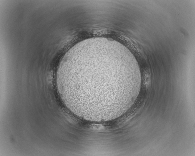 X0000115650519200912011525