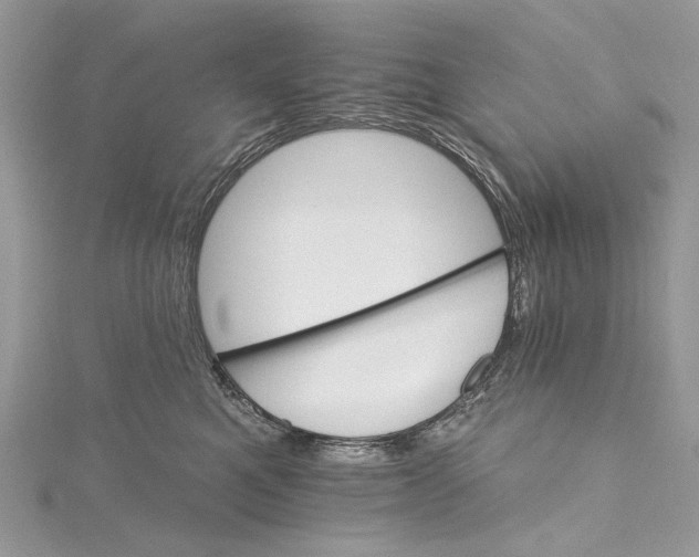 X0000115650521200912011525