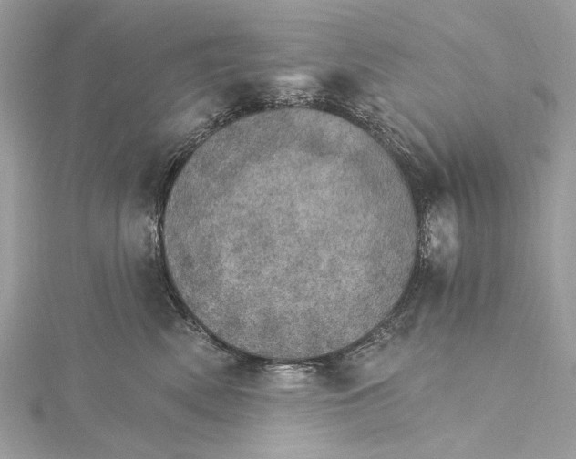 X0000115650522200912011525