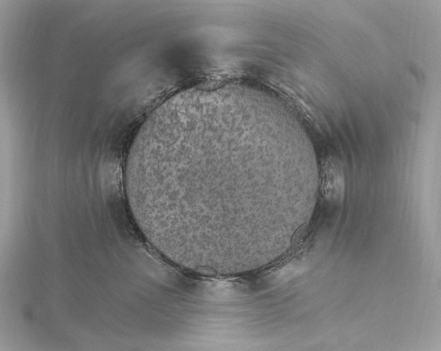 X0000115650523200912011525