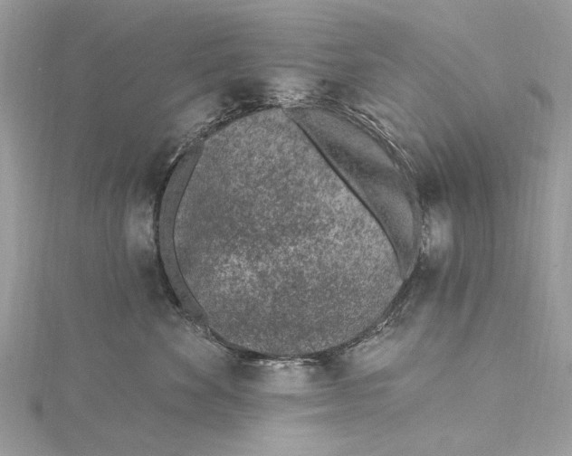 X0000115650524200912011525