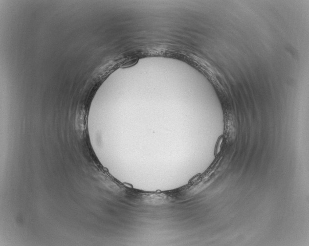 X0000115650525200912011525