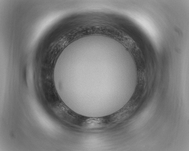 X0000115650526200912011525