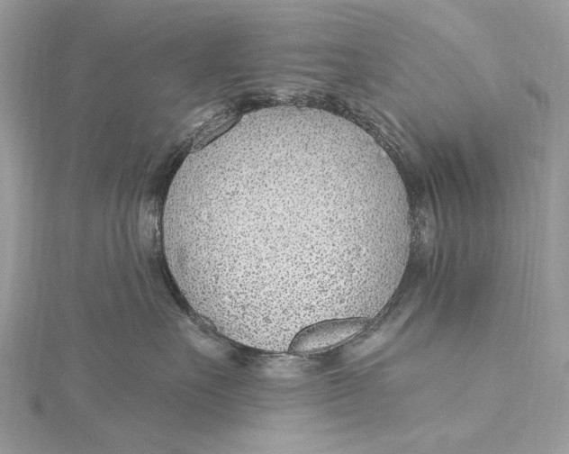 X0000115650527200912011525