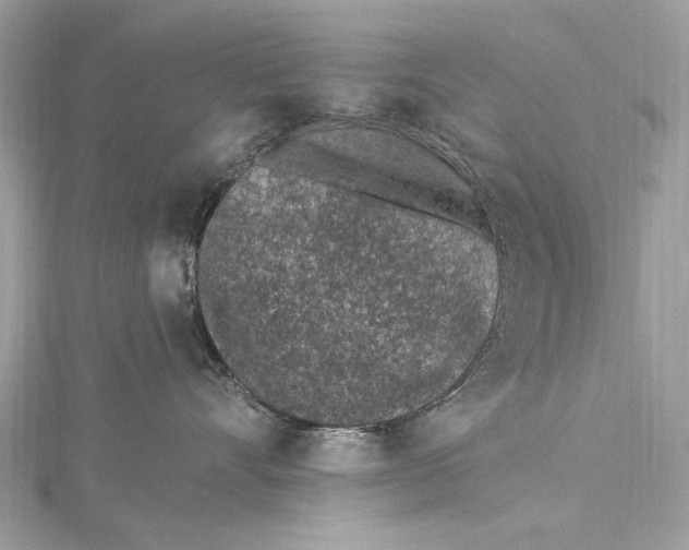 X0000115650528200912011525