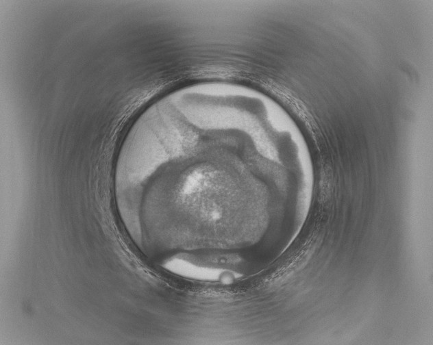 X0000115650529200912011524