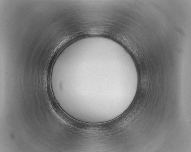 X0000115650530200912011524