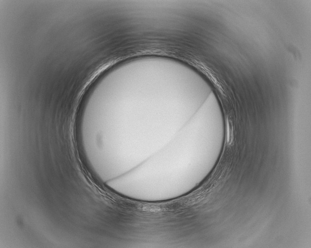 X0000115650531200912011524