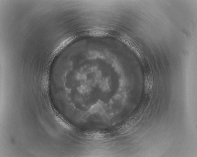 X0000115650533200912011524