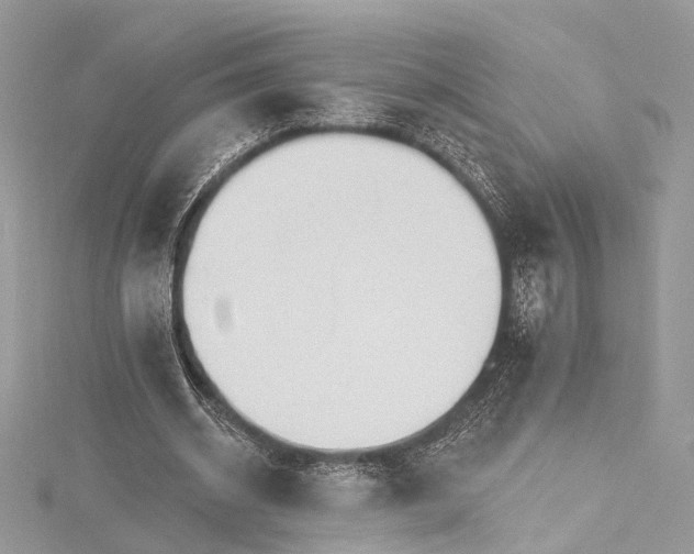 X0000115650534200912011524