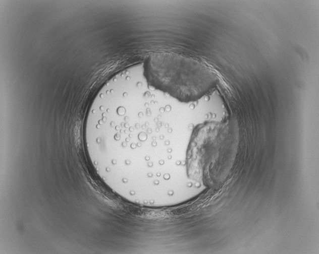 X0000115650537200912011524