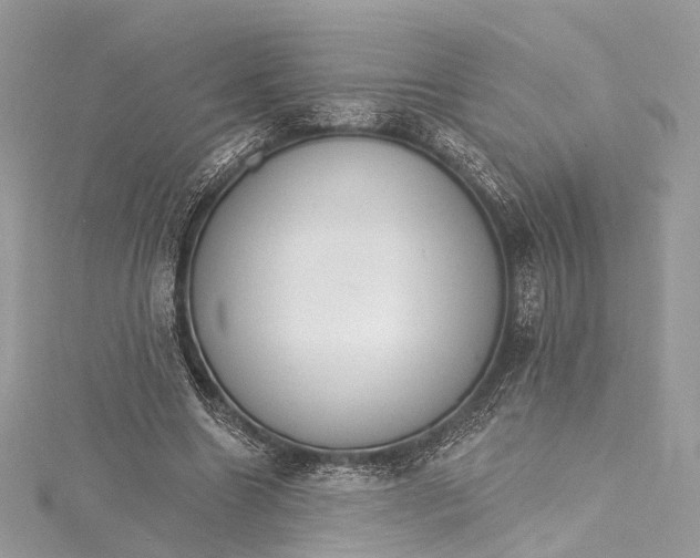 X0000115650538200912011524