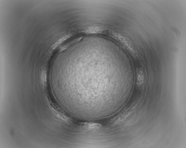 X0000115650539200912011524