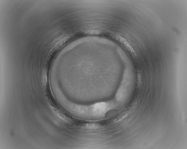 X0000115650541200912011524