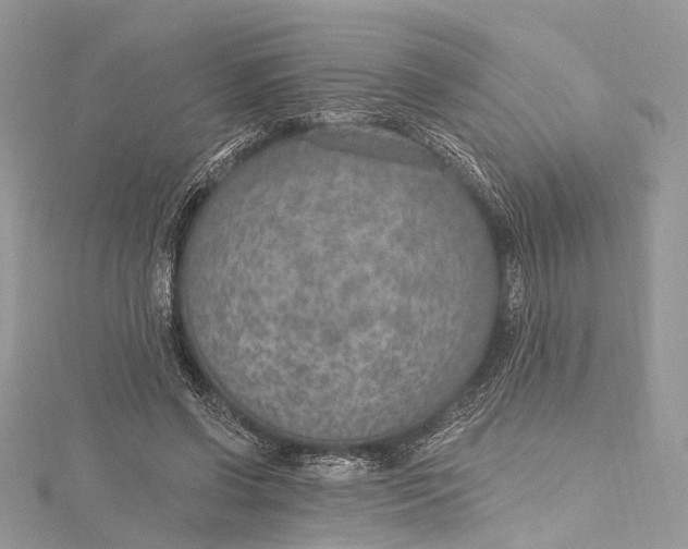 X0000115650542200912011524