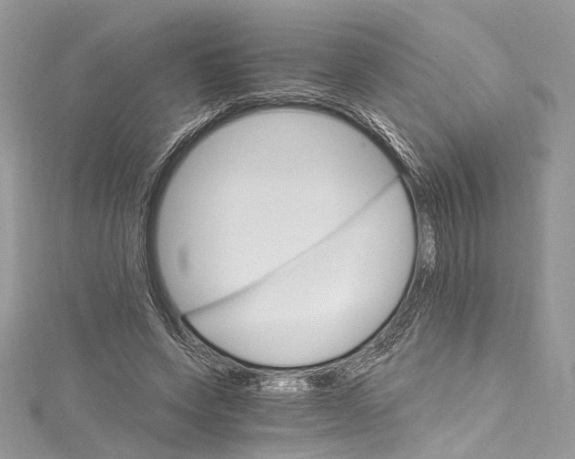 X0000115650543200912011524