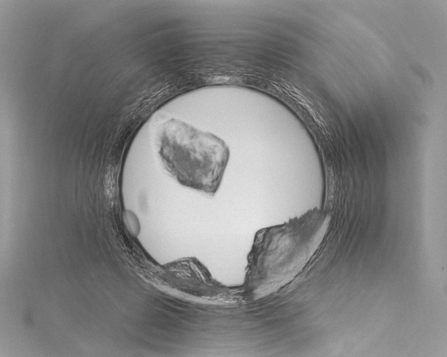 X0000115650545200912011524