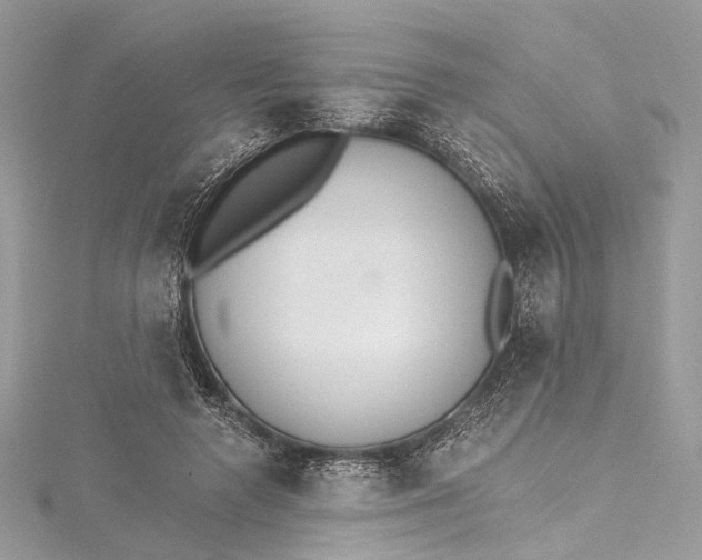 X0000115650546200912011524