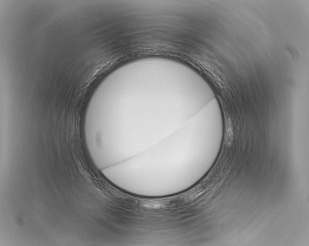 X0000115650547200912011524