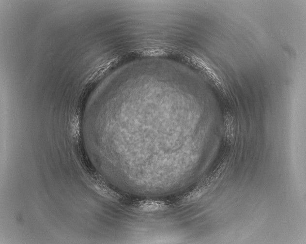 X0000115650549200912011524