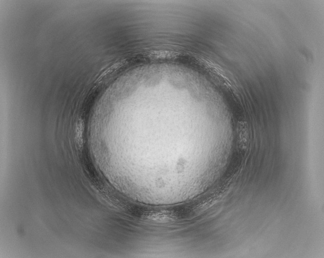 X0000115650550200912011524