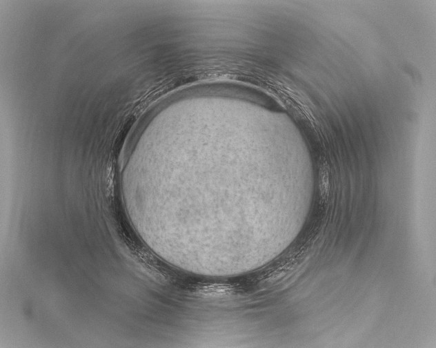 X0000115650551200912011524