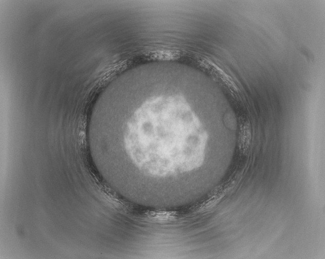 X0000115650553200912011524