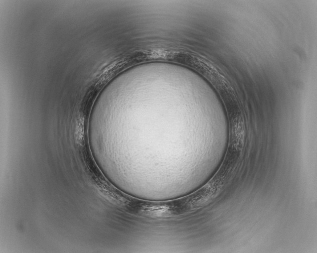 X0000115650554200912011524