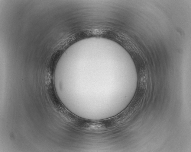 X0000115650555200912011524