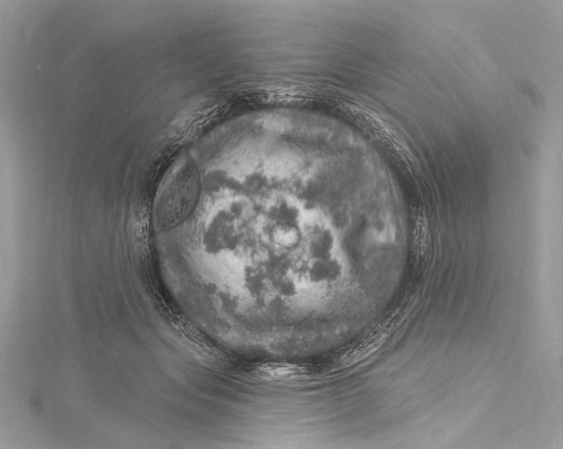 X0000115650557200912011524