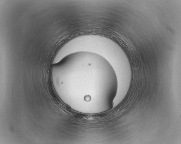 X0000115650558200912011524