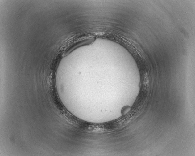 X0000115650559200912011525