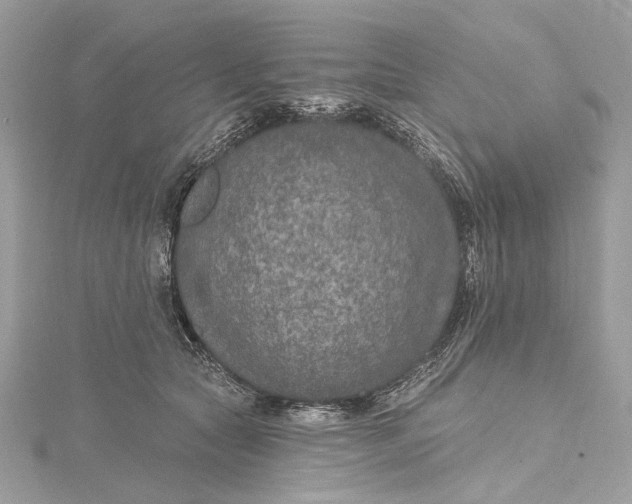 X0000115650561200912011525