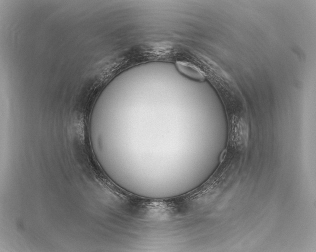 X0000115650562200912011525