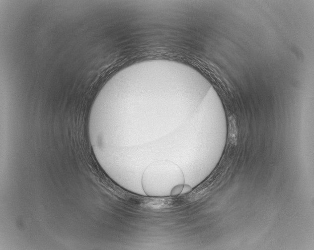 X0000115650563200912011525