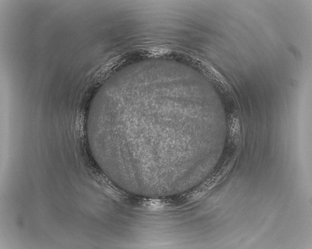 X0000115650565200912011525