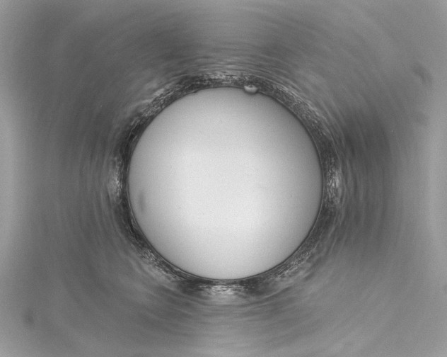 X0000115650566200912011525