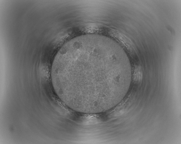 X0000115650569200912011525