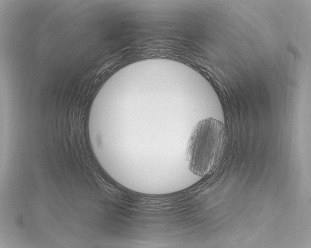 X0000115650570200912011525