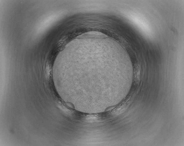 X0000115650574200912011525