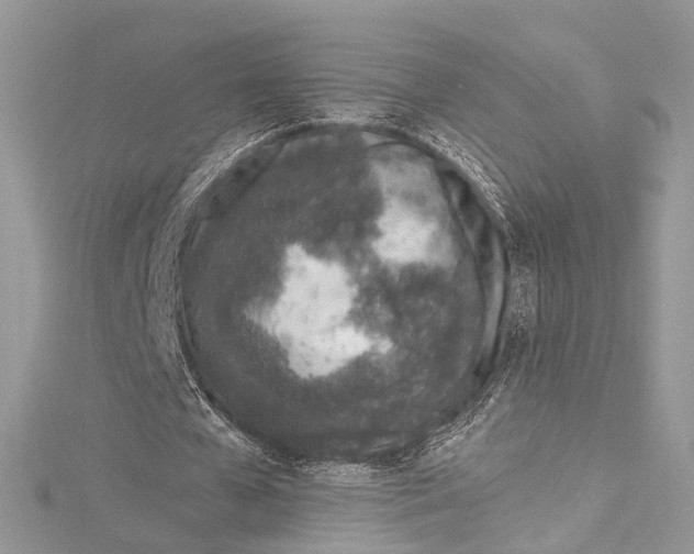 X0000115650577200912011524