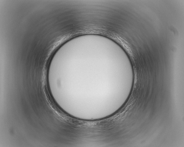 X0000115650578200912011524